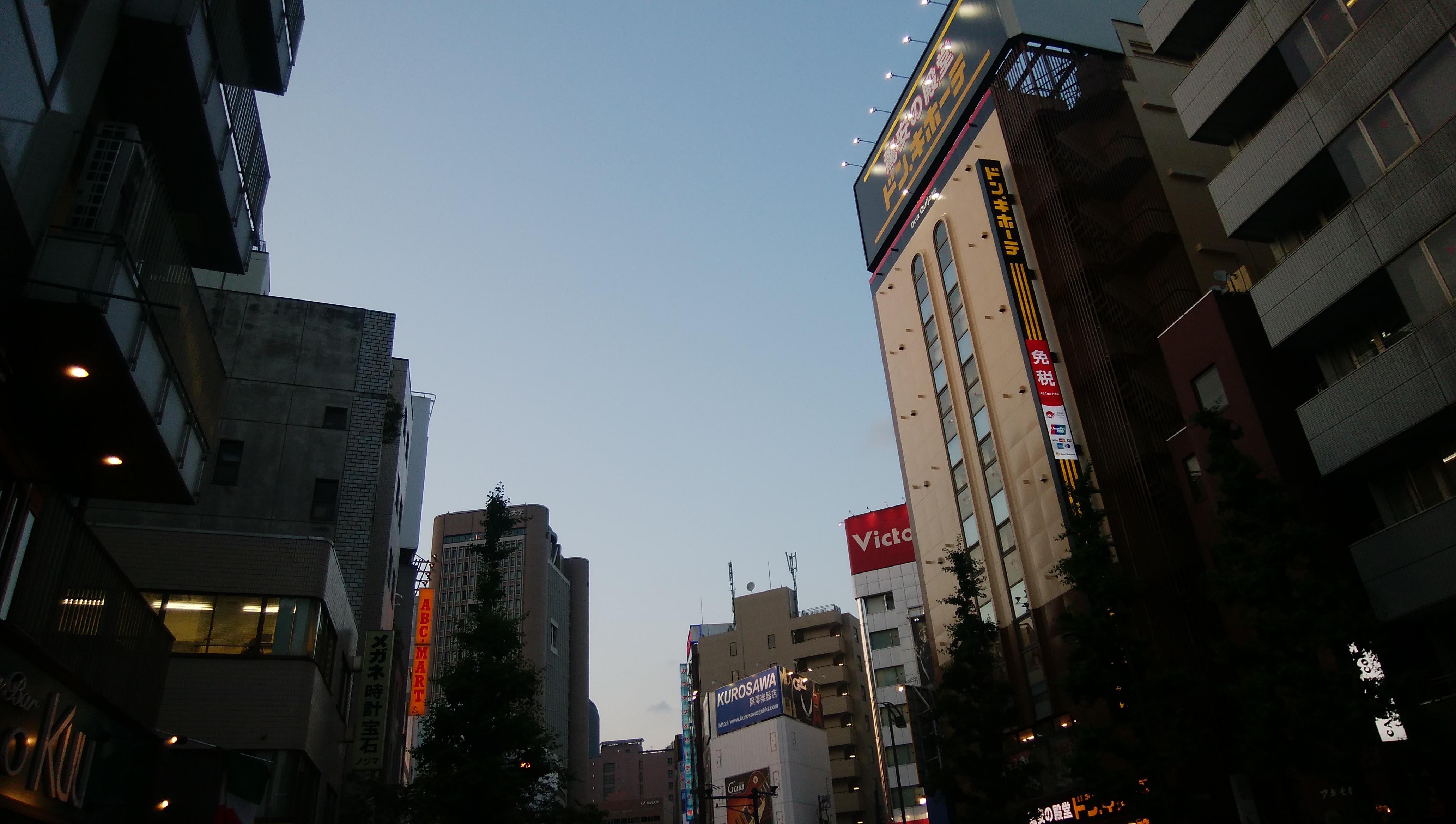 夕暮れ時に撮影