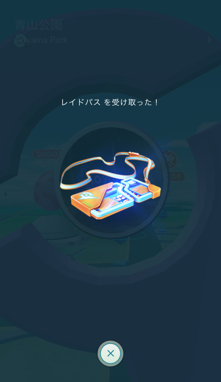 レイドパス