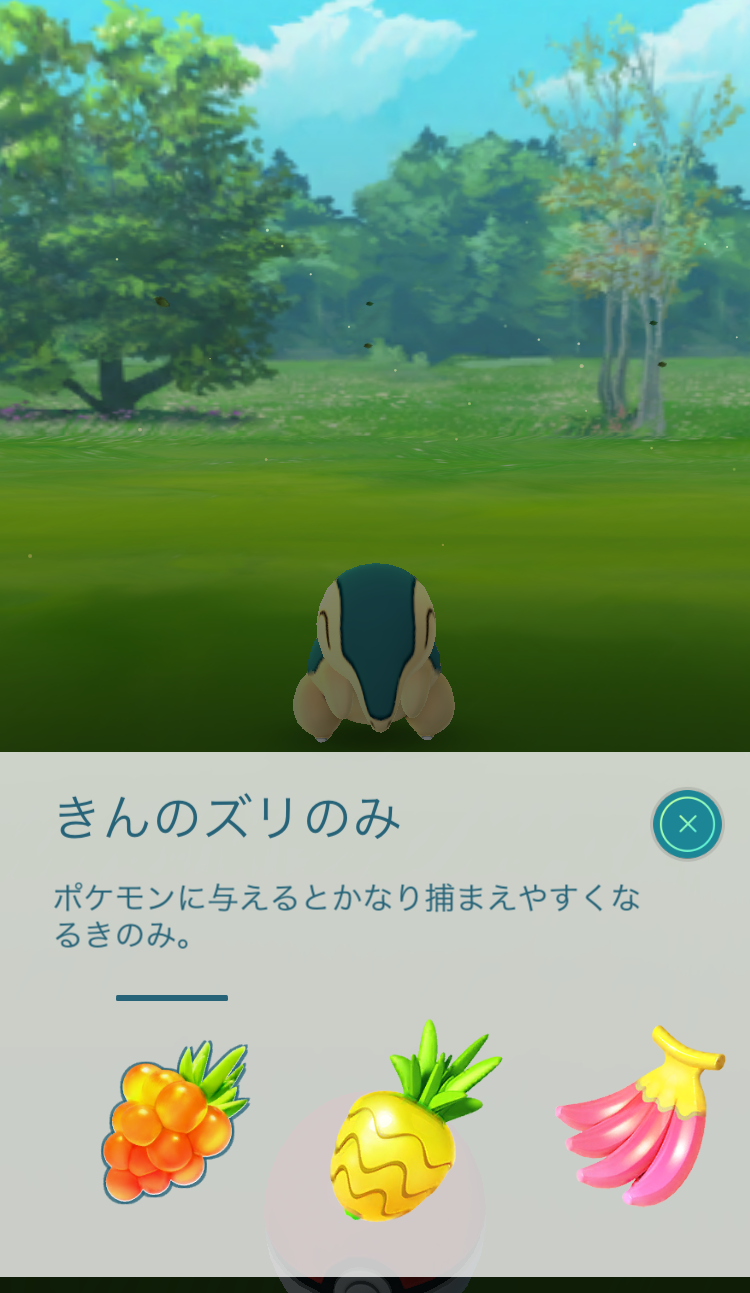 きんのズリのみ