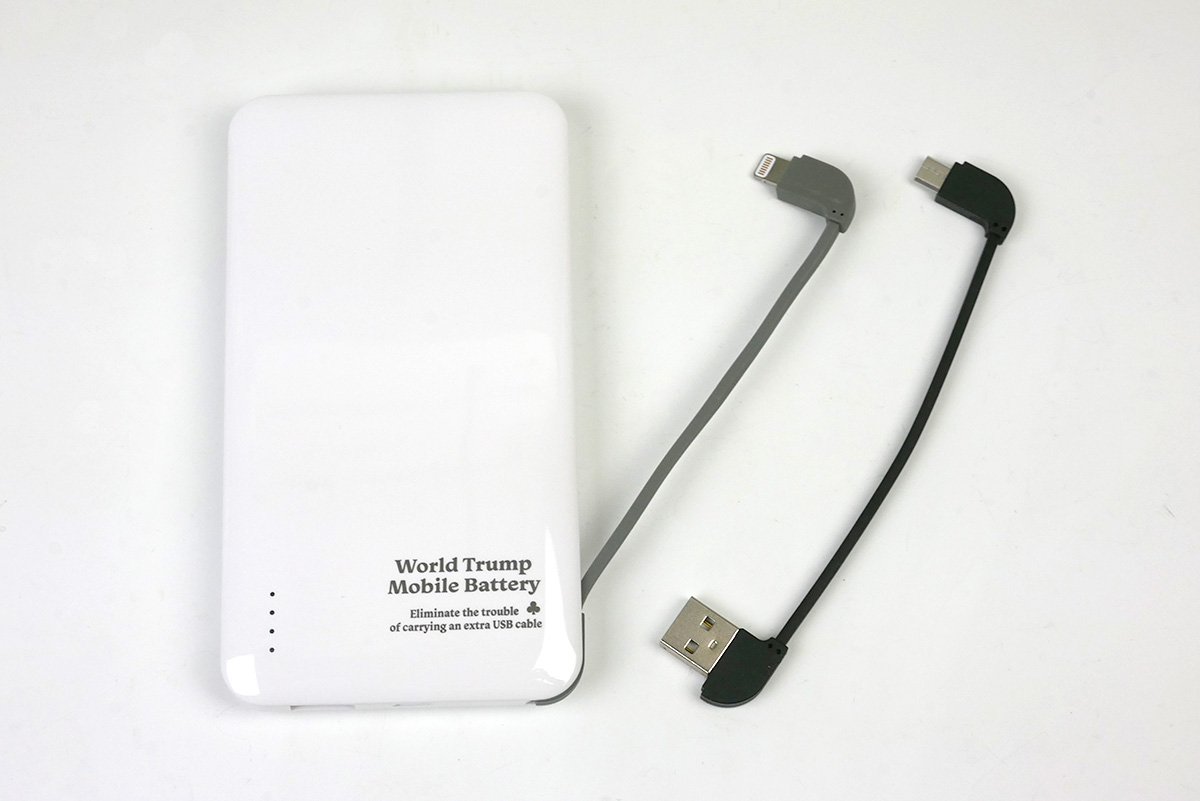 LightningとmicroUSBケーブルがセットのタイプ