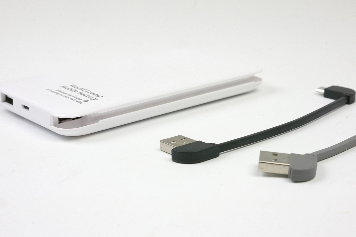 取り外して付け替えられます。もちろん自分のケーブルも使えます