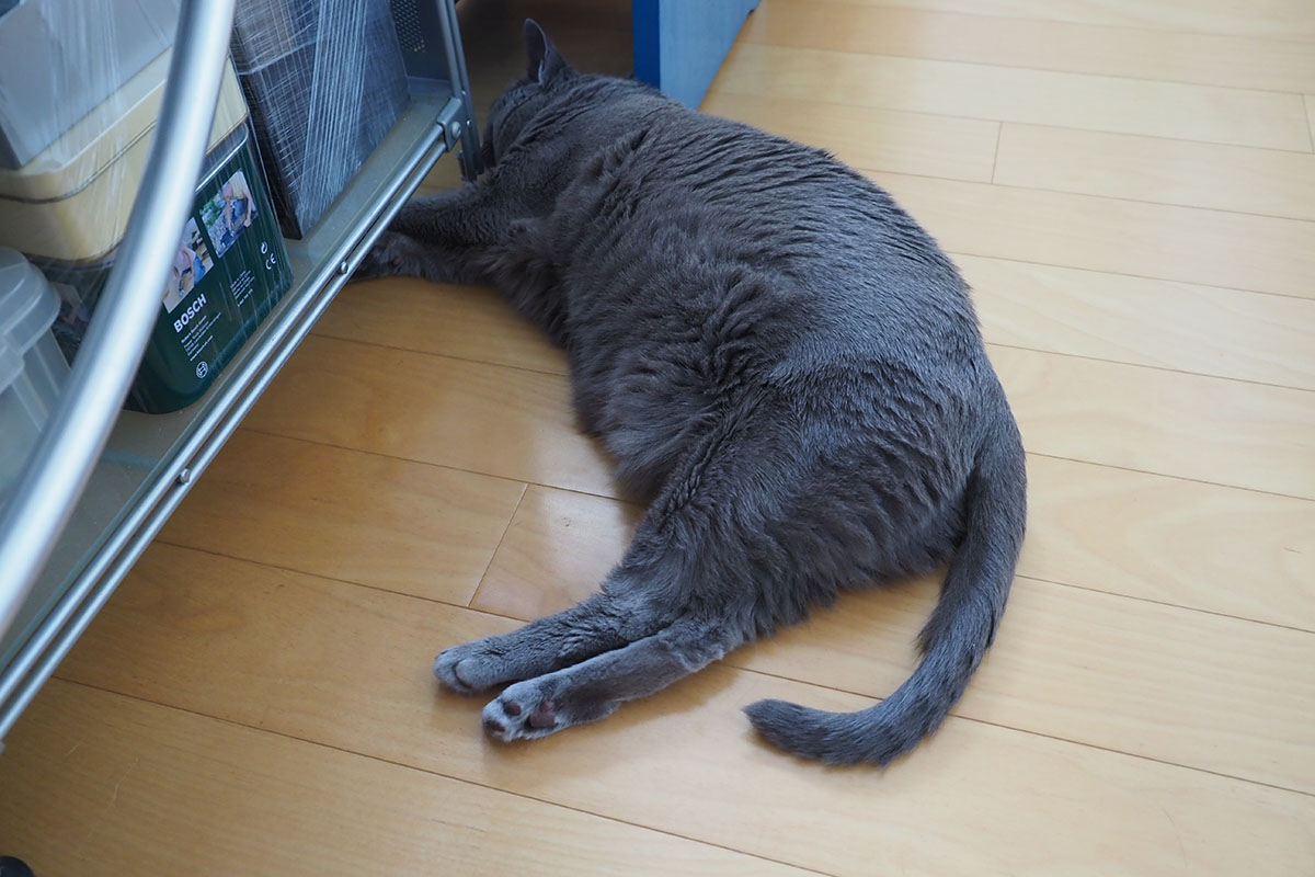 透明度の高いシャワーキャップのほうが良好なフィルター効果を発揮できます。って、コレ、人前でやって見せて「ほらね！」「へえ～っ！」と話のタネになる程度ですけどネ。