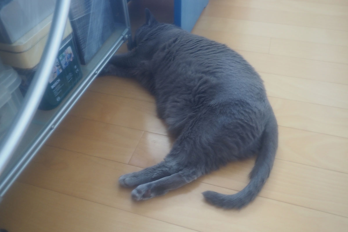 透明度の高いシャワーキャップのほうが良好なフィルター効果を発揮できます。って、コレ、人前でやって見せて「ほらね！」「へえ～っ！」と話のタネになる程度ですけどネ。