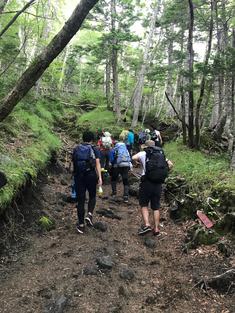 須走ルートの五合目から六合目のあいだは森林地帯もある。こうした樹木も電波を弱める原因になり得る