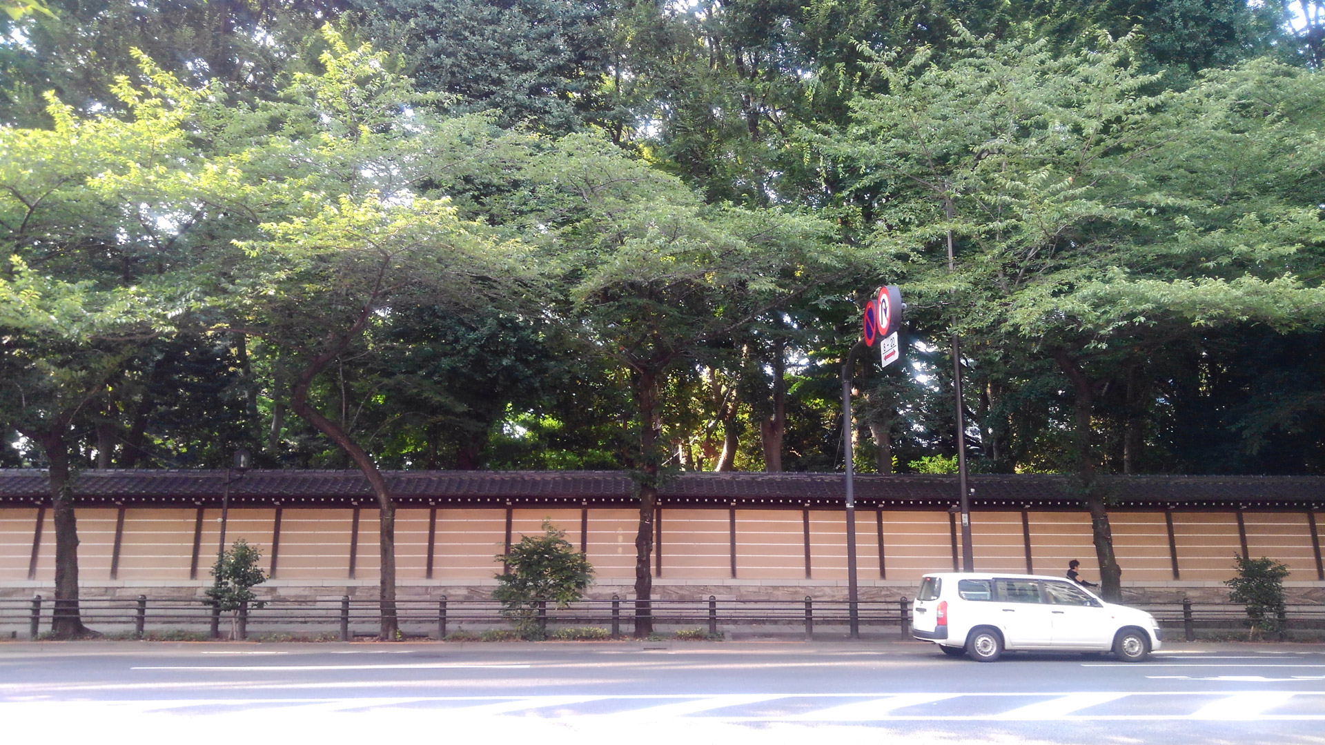 水中モード。全体が少し赤みがかっているのがわかるだろうか。このおかげで水中をきれいに撮影できる