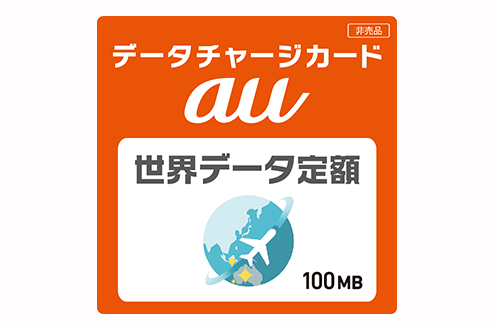 「データチャージカード」（100MB）