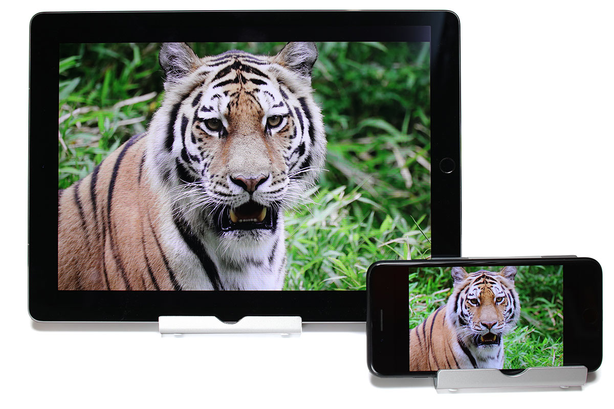 デジカメで撮影した画像をiOS端末に転送して表示すると、しっかり拡大しつつ手ブレの有無やピントを精査できて便利です。iPhoneでも可能ですが、やはり精査には大画面が快適。新型「12.9インチiPad Pro」はかなり最強度合いの高い「デジカメ向けタブレット」かもしれません。