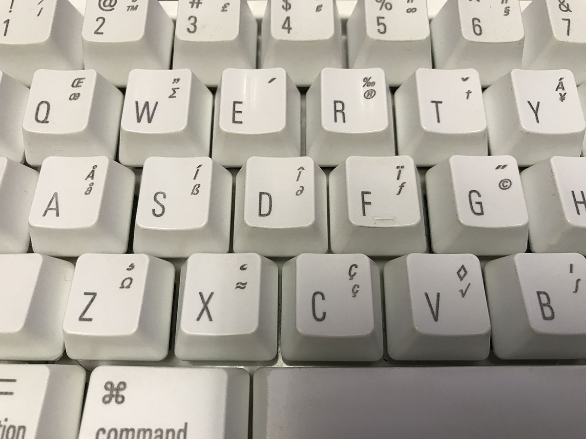 新旧「12.9インチiPad Pro」を使い、なるべく条件を揃えて、同じ被写体を撮影してみました。左が新型、右が旧型による写真です。新型による写真のほうが良好な仕上がりに見えます。なお、新旧アウトカメラは画素数も違いますが、画角も少々異なり、新型のほうがより広角のレンズになっているようです。