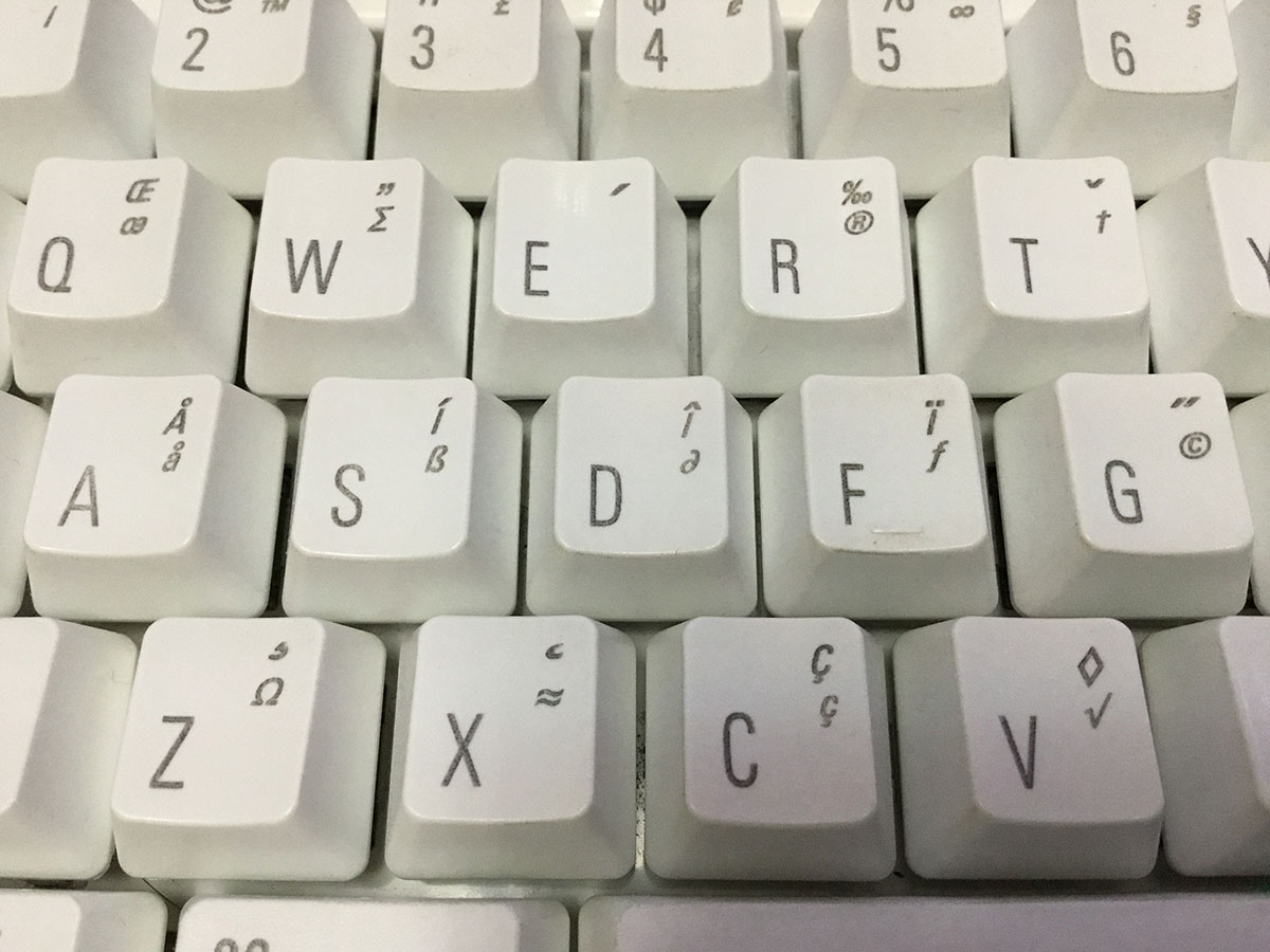 新旧「12.9インチiPad Pro」を使い、なるべく条件を揃えて、同じ被写体を撮影してみました。左が新型、右が旧型による写真です。新型による写真のほうが良好な仕上がりに見えます。なお、新旧アウトカメラは画素数も違いますが、画角も少々異なり、新型のほうがより広角のレンズになっているようです。