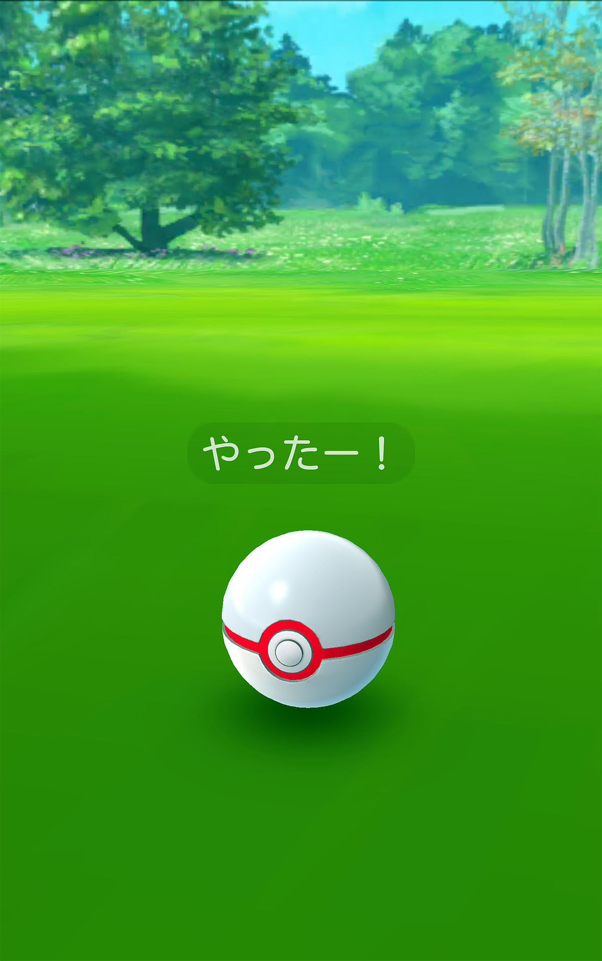 ゲットできました！