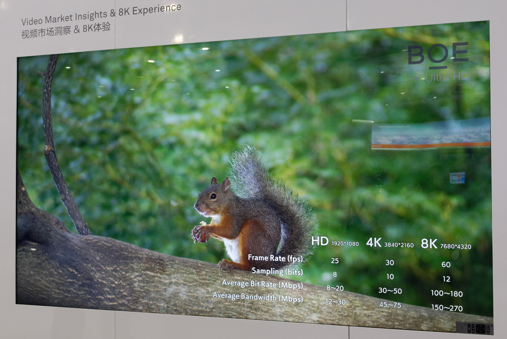 中国のディスプレイパネルメーカーBOEの8Kモニター。映像のデコードにファーウェイ（ハイシリコン）のチップが用いられている