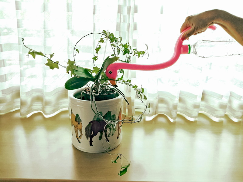 注水するスタイルはなかなかにエレガントだ