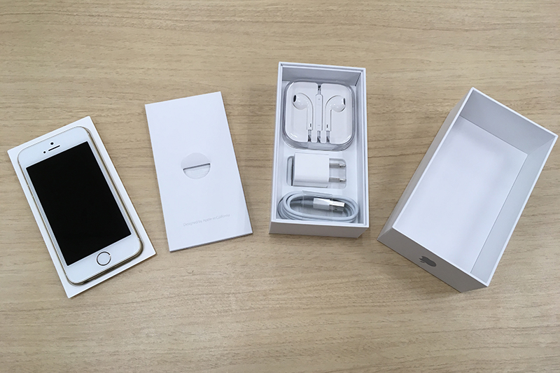 標準付属品のEarPodsや充電器、Lightningケーブルも同梱