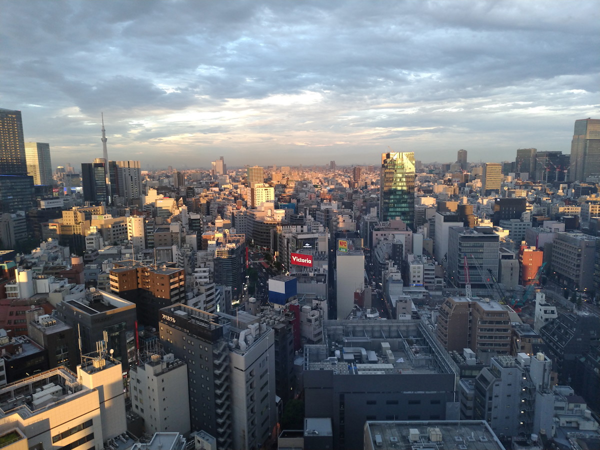 左が標準カメラ、右が広角カメラ