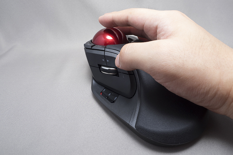 成人男性が手を上からかぶせて、それでもまだ余裕のある大きさだ