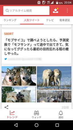 リツイートの数が多い「人気ツイート」を一覧することもできる