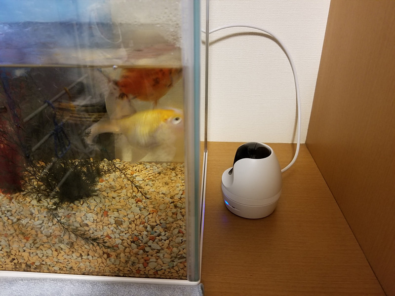 「QBIC CLOUD CC-2」を水槽の脇に設置