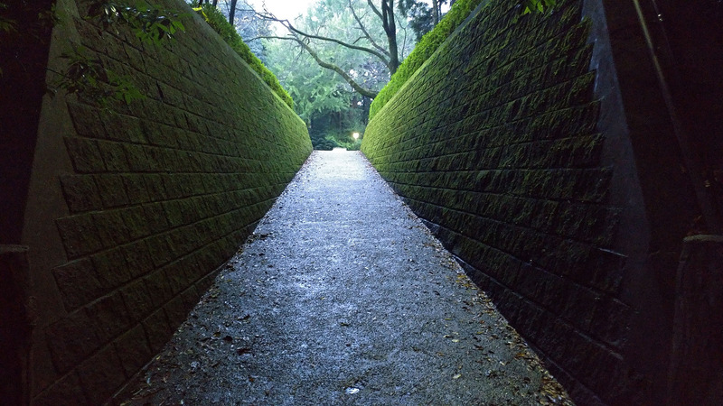 日が暮れるころに訪れた小山城址の城山公園。いわゆる河岸段丘に築かれたお城だそうで、この写真の場所以外にも祇園橋とお堀など、当時の姿がそこかしこに残っています。河岸段丘と聞くだけで、あの番組を思いだし、おお、こういうことか……と実感できたりして