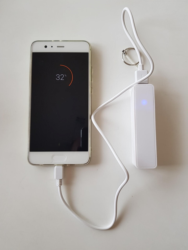 アルカリ乾電池ではないが、2000mAhのリチウムイオンバッテリー内蔵のダイソーの300円モバイルバッテリーでは、最終的に20％の追加充電が可能だった