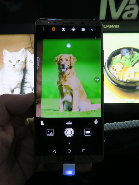 カメラを起動し、被写体に向けると、被写体を自動的に認識し、それぞれに合った設定に切り替えられる。認識した被写体の種類は左下にアイコンで表示される