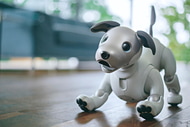 aibo01_s.jpg