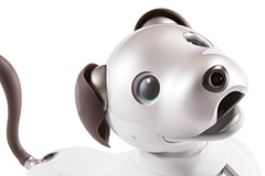 ソニーの「aibo」がLTE対応で復活、オーナーの感情を学習するように