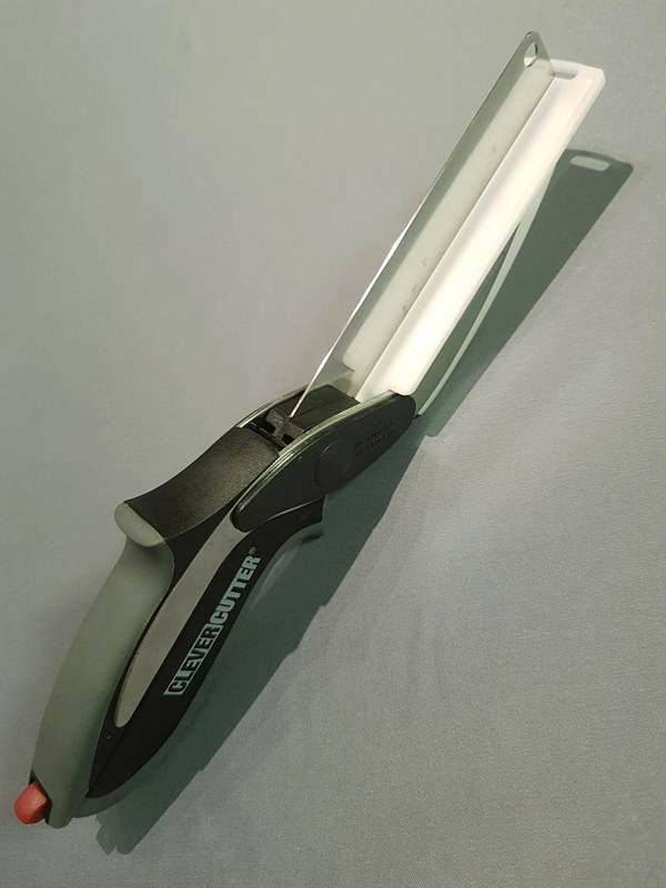 まさに、まな板に包丁が降りた瞬間と同じ雰囲気だ