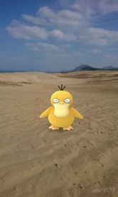 鳥取砂丘でポケモンをAR撮影すると鳥取和牛プレゼント