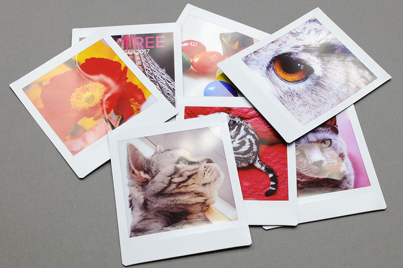 「スクエアフォーマットのインスタントフィルム」である「インスタントカラーフィルム instax SQUARE」（<a href="http://fujifilm.jp/personal/filmandcamera/film/instant/instaxsquare.html" class="n" target="_blank">公式ページ</a>）にプリントした写真。プリント画面サイズは62×62mmです。正方形の写真って、なんと言うかこう「どんな被写体を配しても決まる」という感覚。正方形なのでバランスがよく最初から安定感があるからでしょうか。それが紙の状態になり周囲に白い枠があると、さらにアート感のようなものがある写真だと感じられます。不思議ですが、なんかイイですネ♪