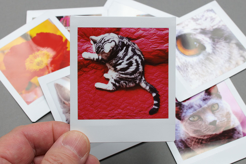 「スクエアフォーマットのインスタントフィルム」である「インスタントカラーフィルム instax SQUARE」（<a href="http://fujifilm.jp/personal/filmandcamera/film/instant/instaxsquare.html" class="n" target="_blank">公式ページ</a>）にプリントした写真。プリント画面サイズは62×62mmです。正方形の写真って、なんと言うかこう「どんな被写体を配しても決まる」という感覚。正方形なのでバランスがよく最初から安定感があるからでしょうか。それが紙の状態になり周囲に白い枠があると、さらにアート感のようなものがある写真だと感じられます。不思議ですが、なんかイイですネ♪