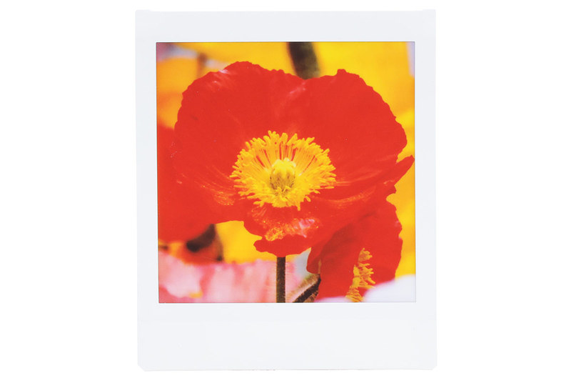 「SP-3」によるプリント例。発色は良くコントラストも良好。白のヌケや黒の深さも十分だと感じられます。