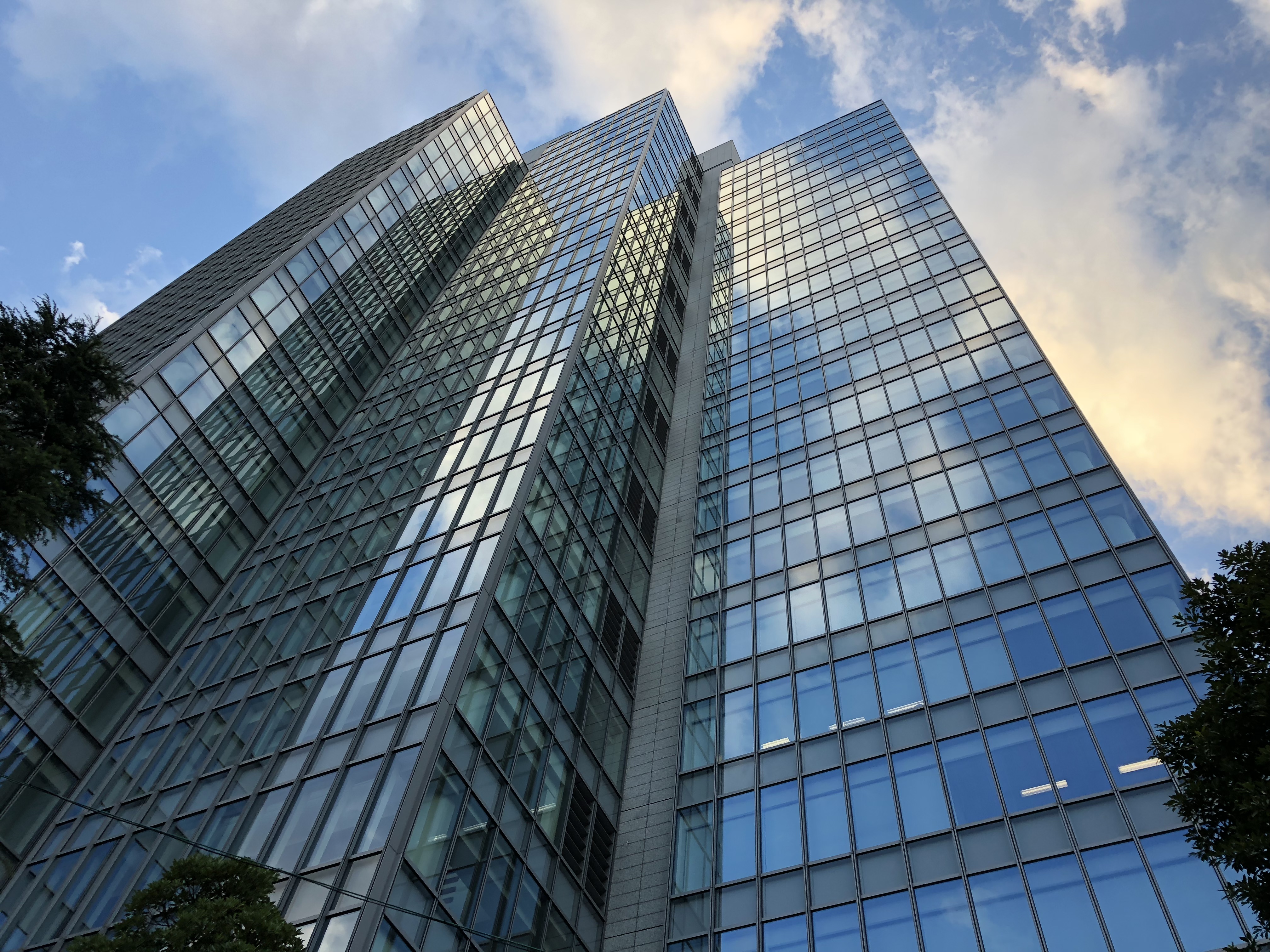 標準画角で撮影