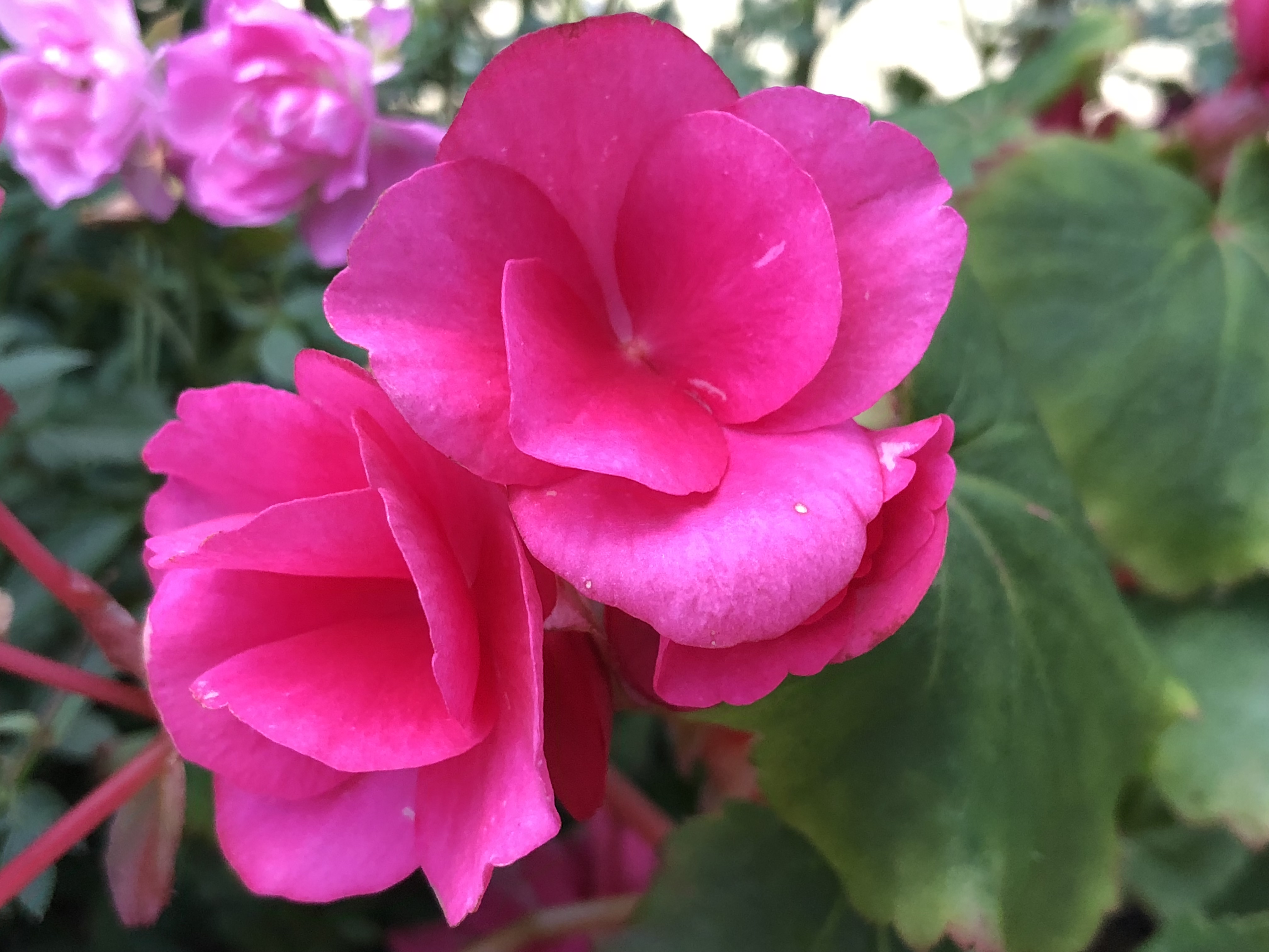 夜間の撮影例。標準画角で撮影