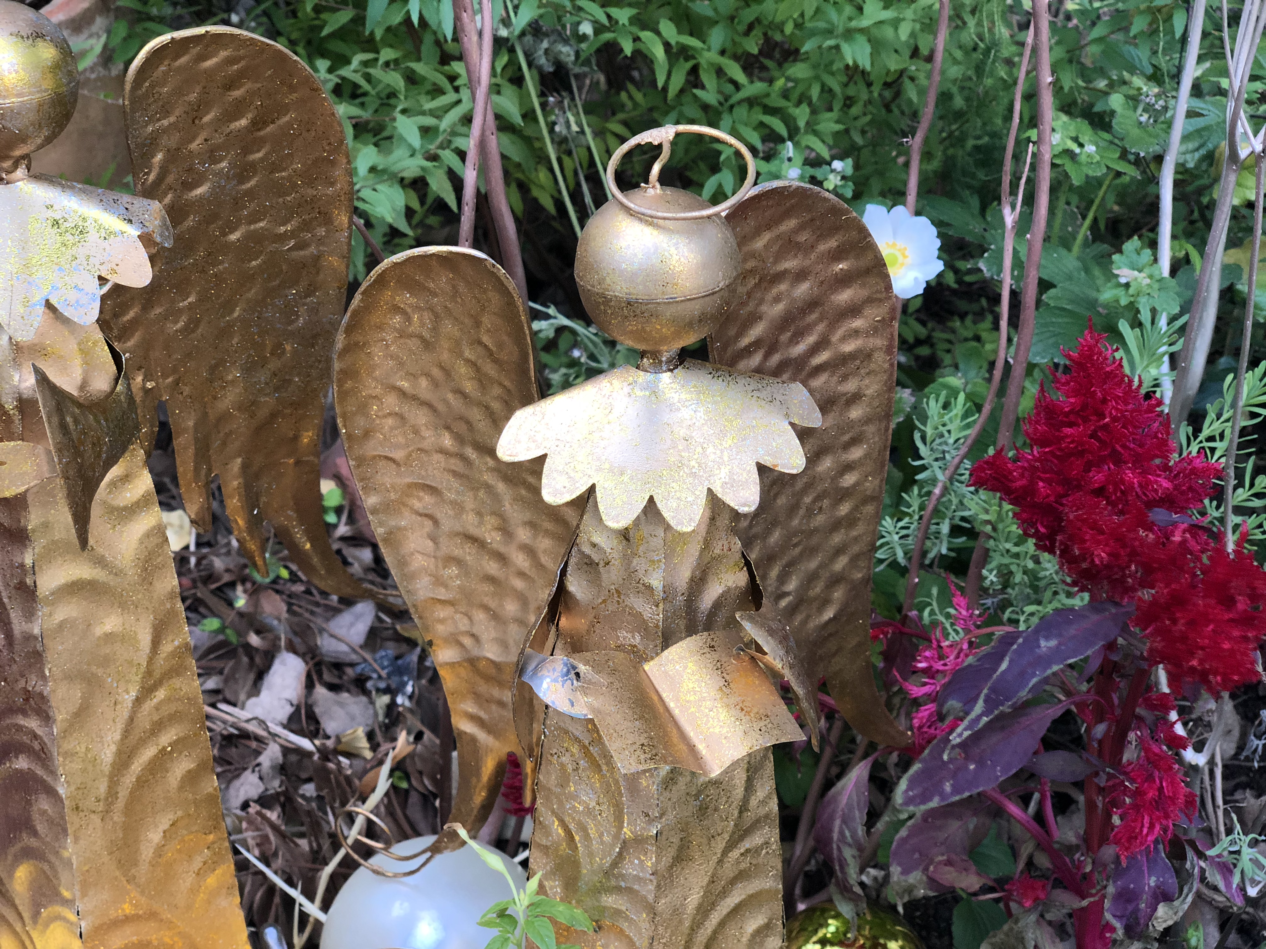 夜間の撮影例。標準画角で撮影