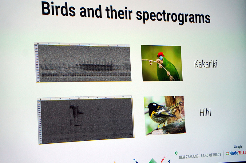 鳥の声を学習させる