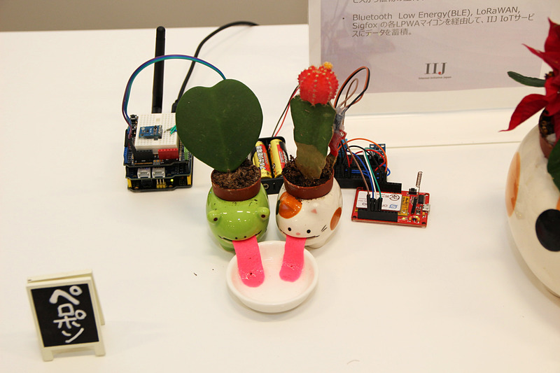 IIJ社内では観葉植物でIoTデバイスを検証している