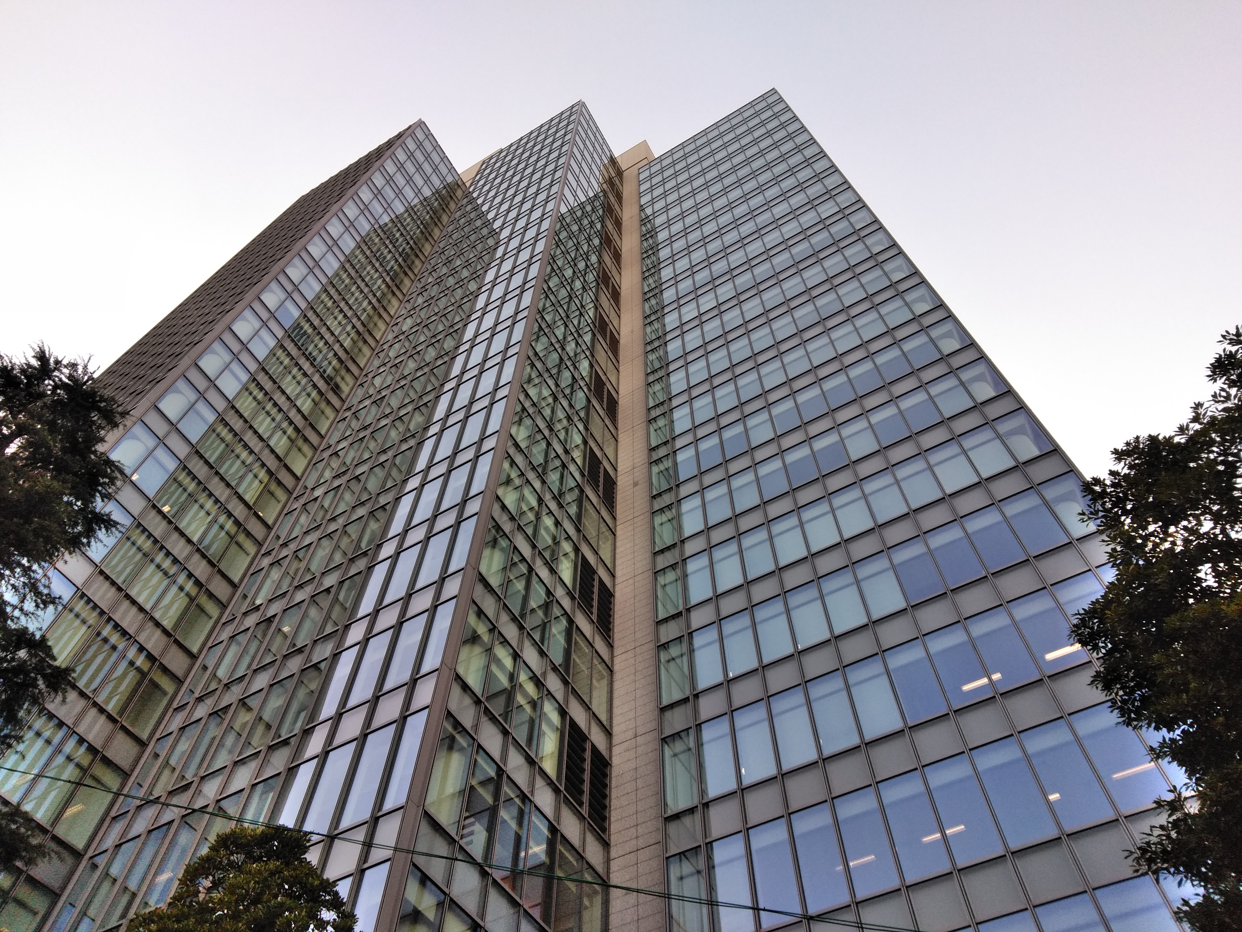 夜間の撮影サンプル