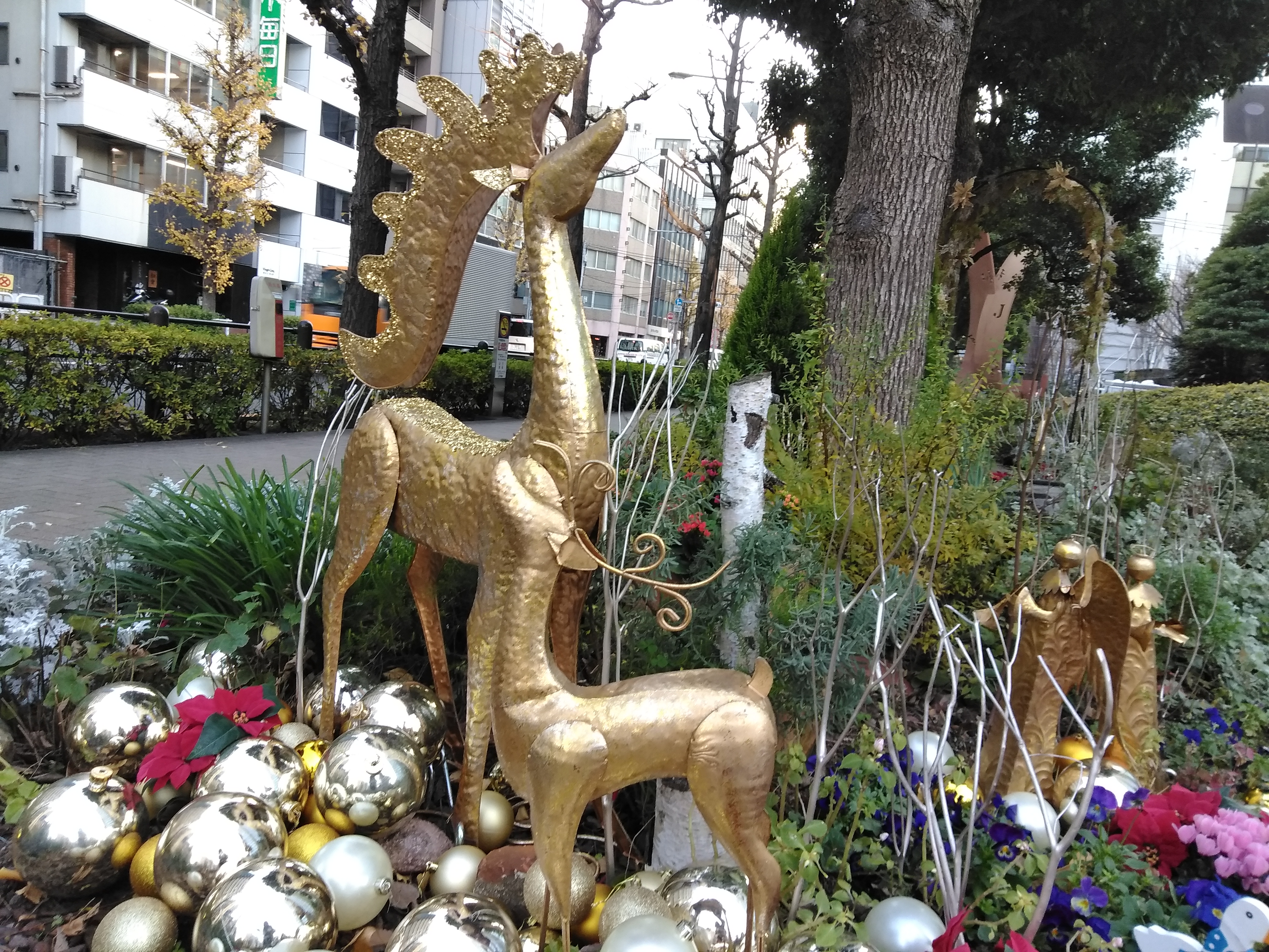 夜間の撮影サンプル