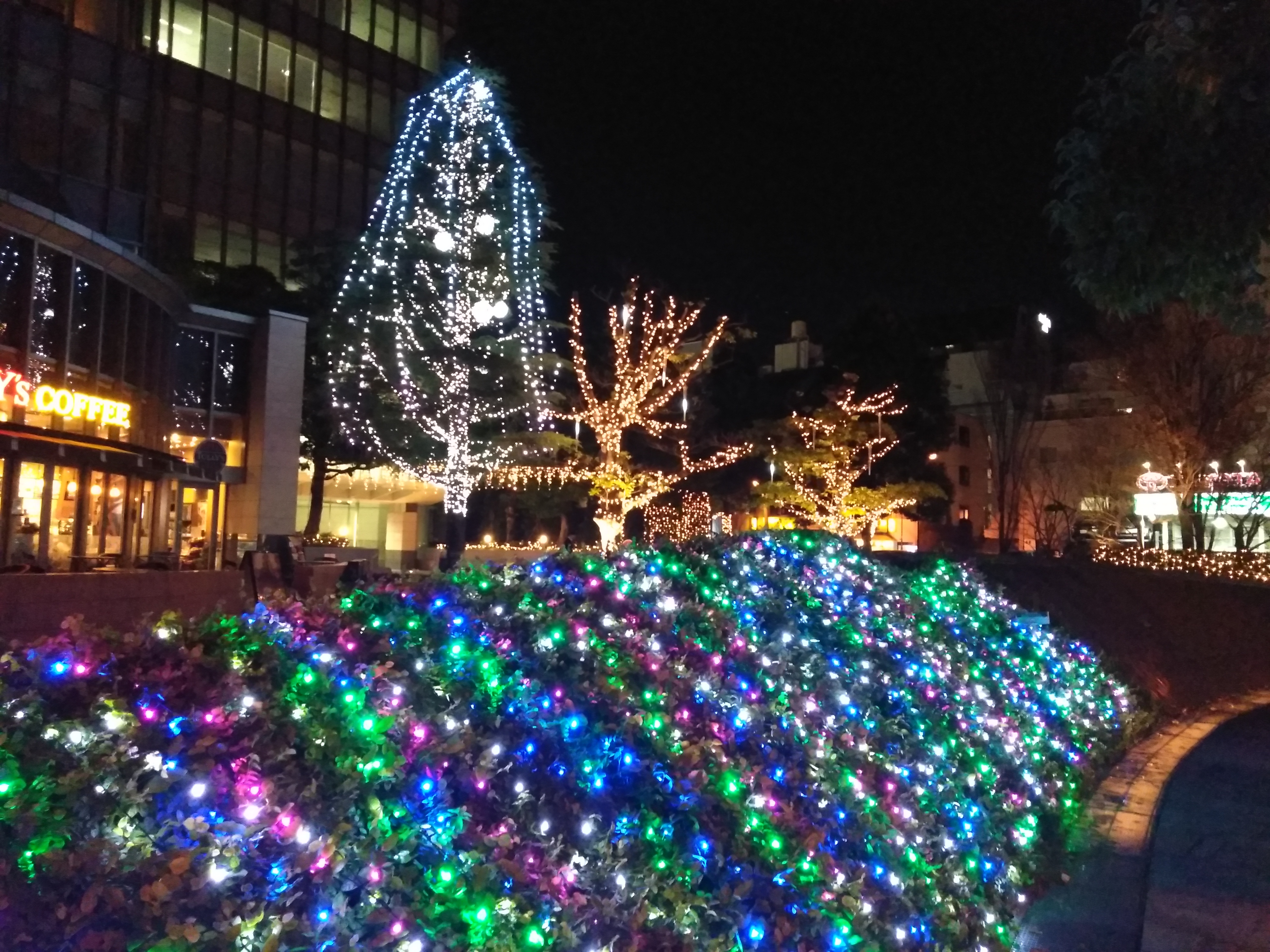 夜間の撮影サンプル