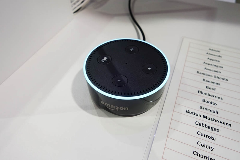 Echo Dotでのデモ