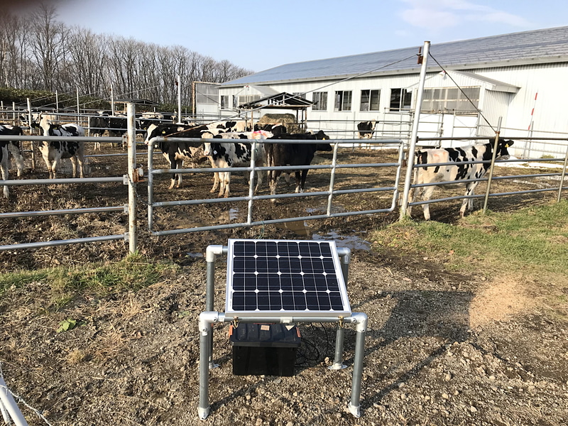 水飲み場に置いた検知器でカウント
