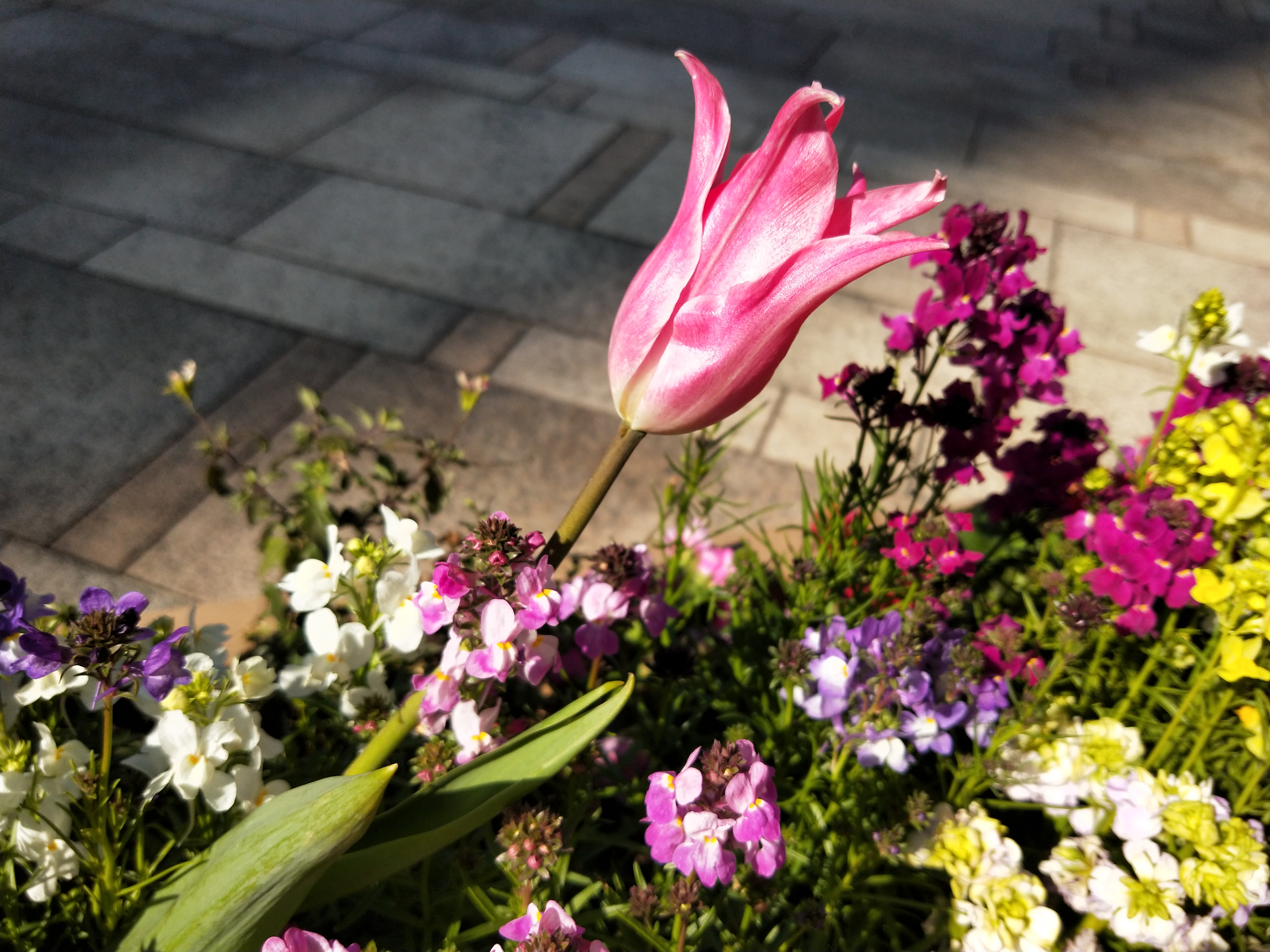 夜間の撮影サンプル（1）