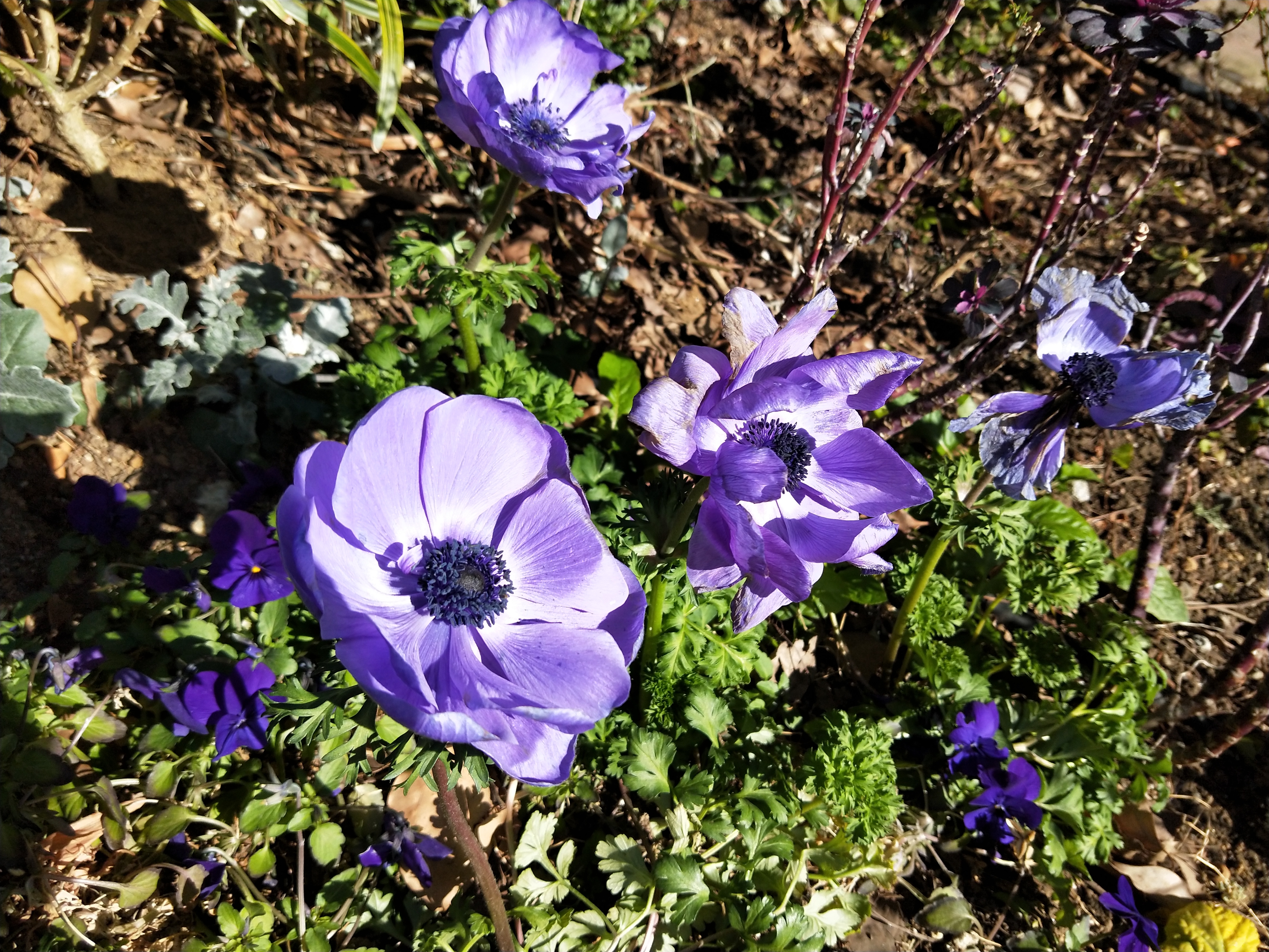 夜間の撮影サンプル（1）