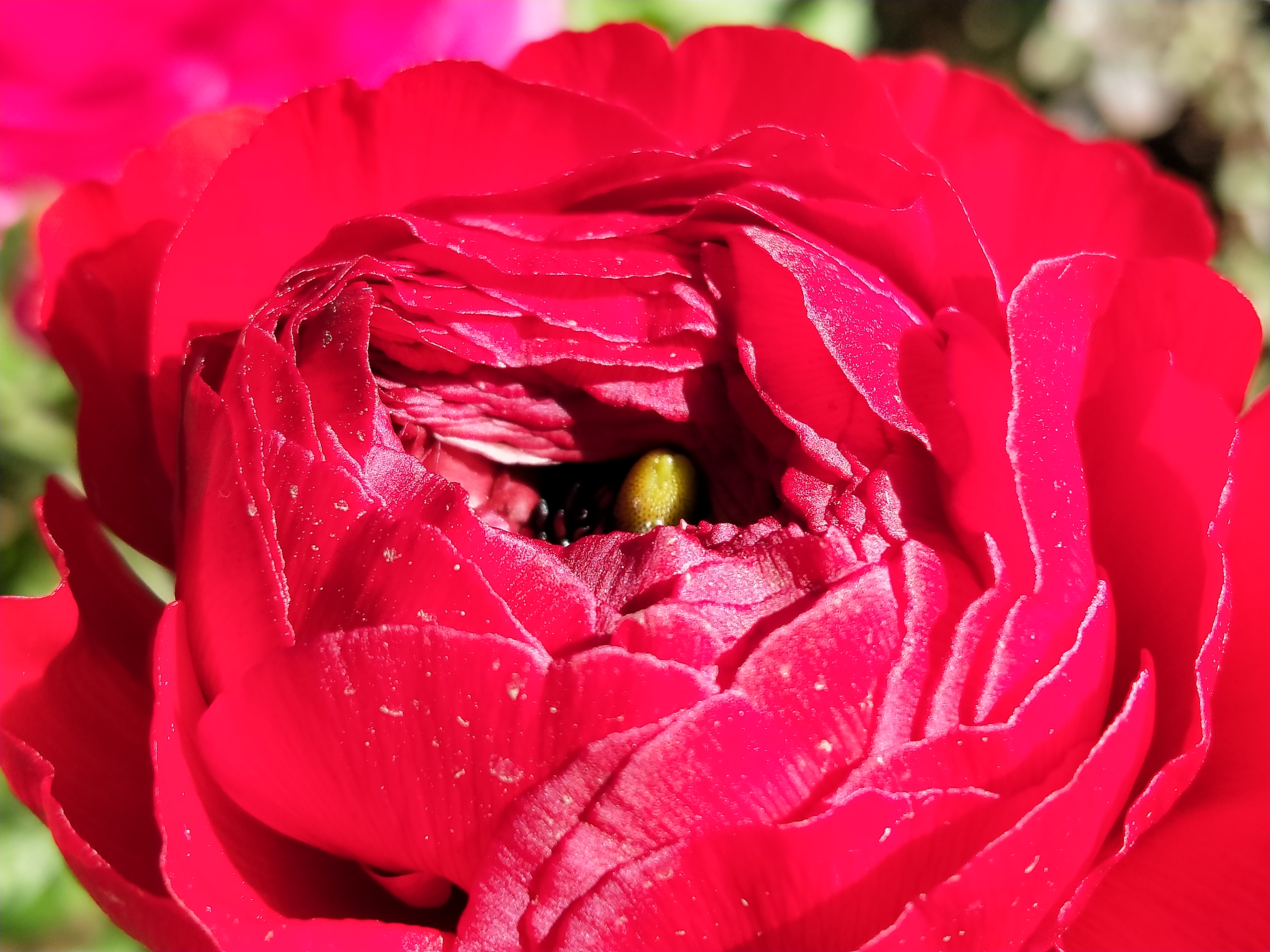 2倍ズーム使用時の撮影サンプル