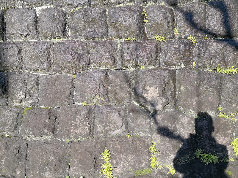 日差しの中、雪解け水で濡れる石壁。だが、濡れている感じまでは出なかった。モノクロの解像度は見事。そもそも色情報がほとんどなないので、石壁のディテールだけにするか、もっと影で遊ぶべきだった