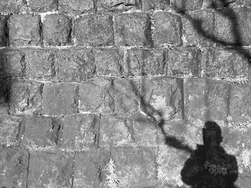 日差しの中、雪解け水で濡れる石壁。だが、濡れている感じまでは出なかった。モノクロの解像度は見事。そもそも色情報がほとんどなないので、石壁のディテールだけにするか、もっと影で遊ぶべきだった