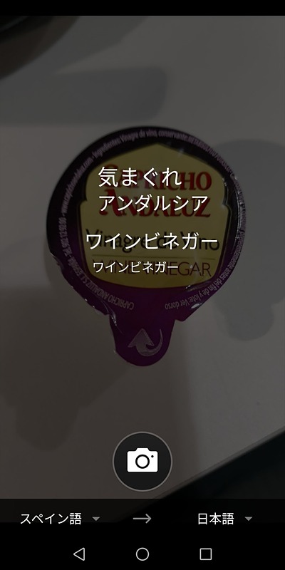 短い言葉の翻訳には役立ちそうな印象