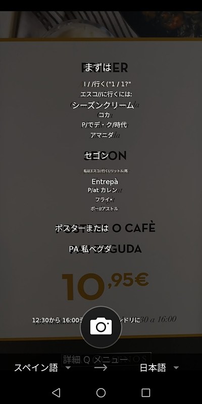 よくわからない翻訳結果が出ることもあるが、素早く表示されるので、ガッカリ感は少ない