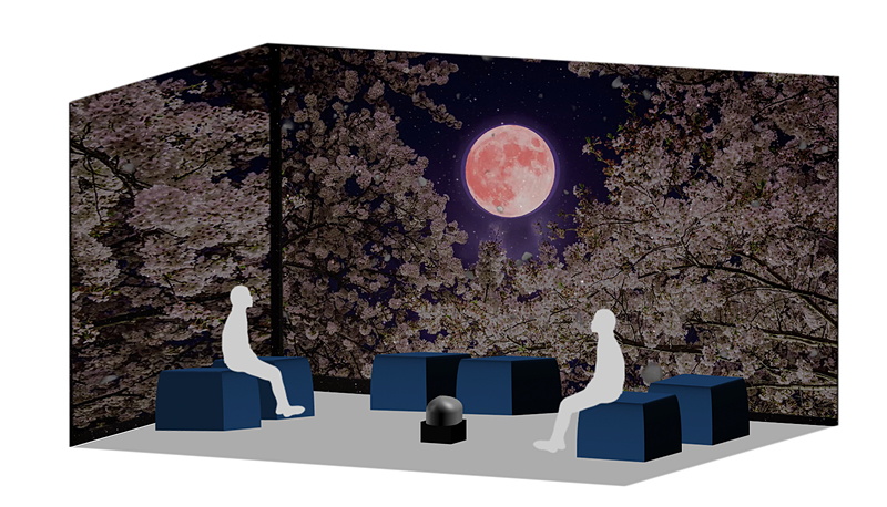 Galaxy Night Blossom