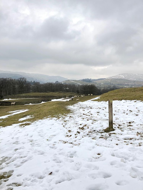 画面右中央にあるのがPUBLIC FOOTPATHの標識、だと思う。羊うろつく牧草地ど真ん中で、どこが道だか正直よくわからない（そしてこの先の散策道は廃止になっていた）